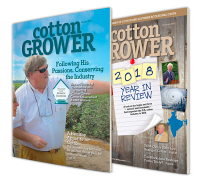 CottonMarket Cotton Market