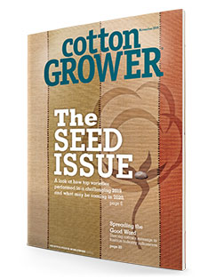 Cotton Grower | November 2019
