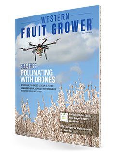 Western Fruit Grower | November 2019